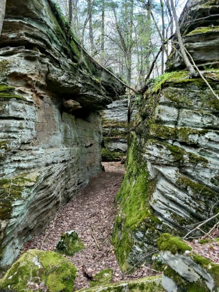 Rock City State Forest
