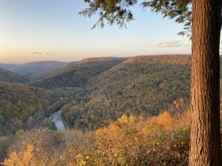 Loyalsock Canyon Vista
