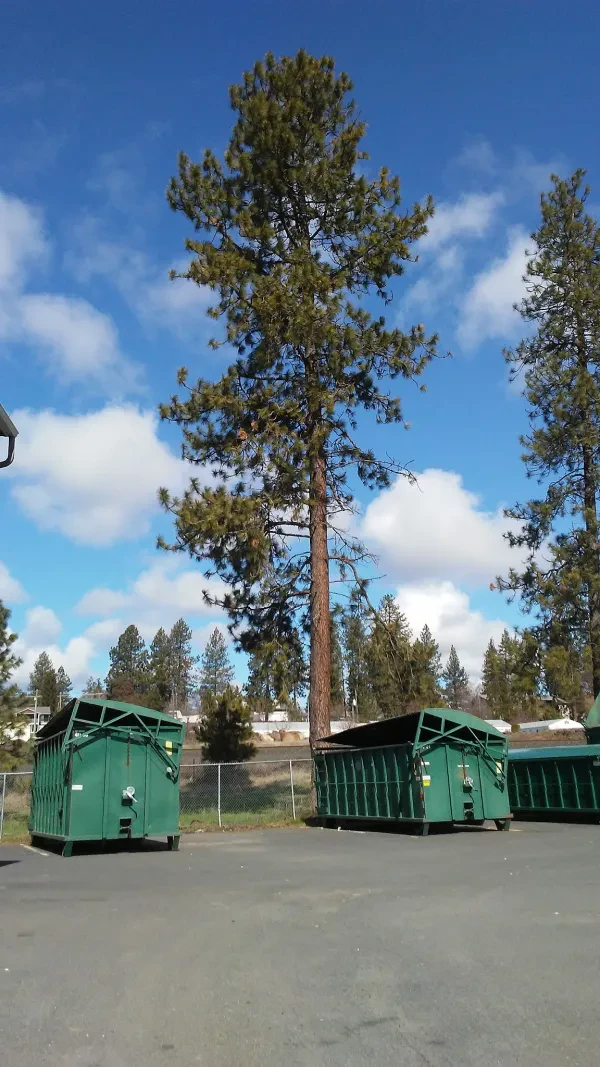 Cheney Recycling Center - photo 2