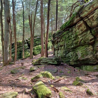 Bilger's Rocks Association