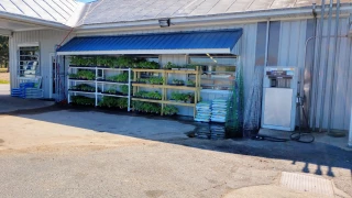 Scotts Store
