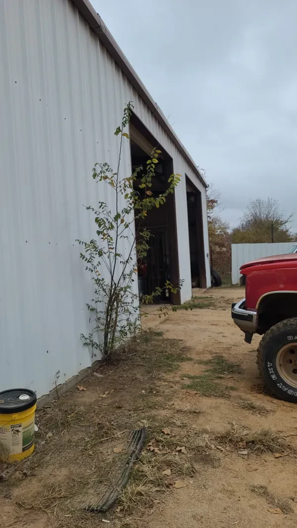 Randy's Automotive & Salvage - photo 3