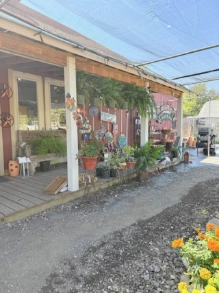 The Front Yard