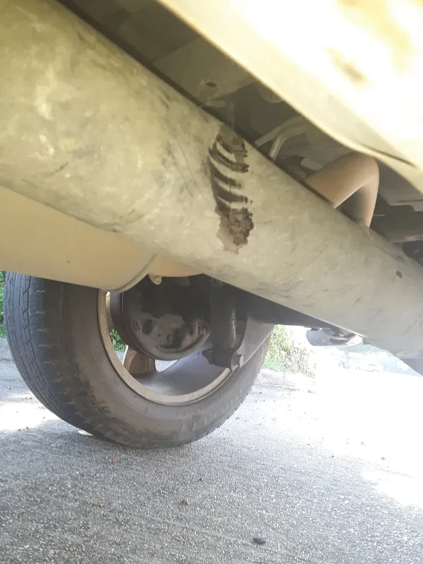 Theriot Towing & Recovery LLC - photo 4