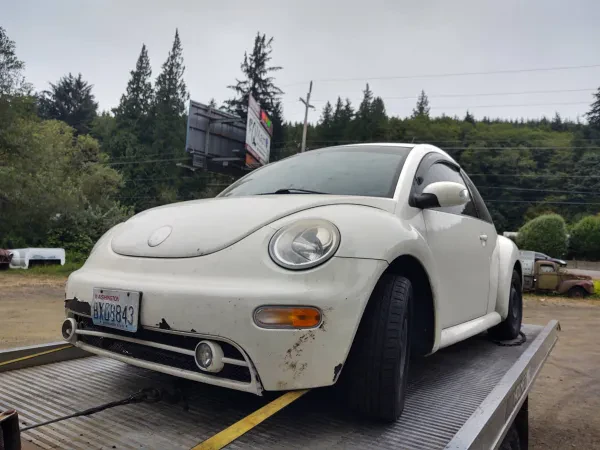 Sideline Auto Wrecking Inc - photo 4