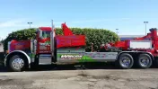 Wilcox & Sons Towing & Auto Repairs