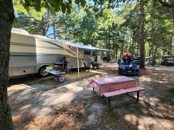 Cape Cod Maple Park Campground & RV Park - photo 4