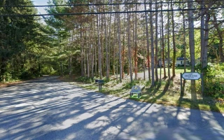 Camp Green Eyrie