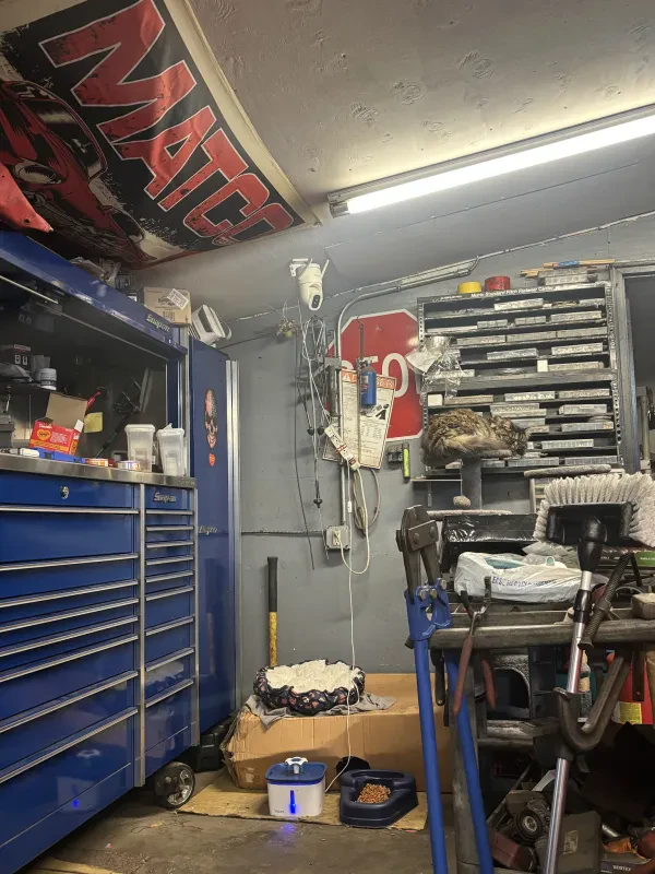 Neptune Auto Repair - photo 3