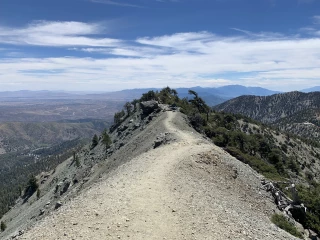 Mt San Antonio