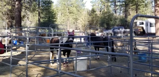 Heart Bar Equestrian Group Campground