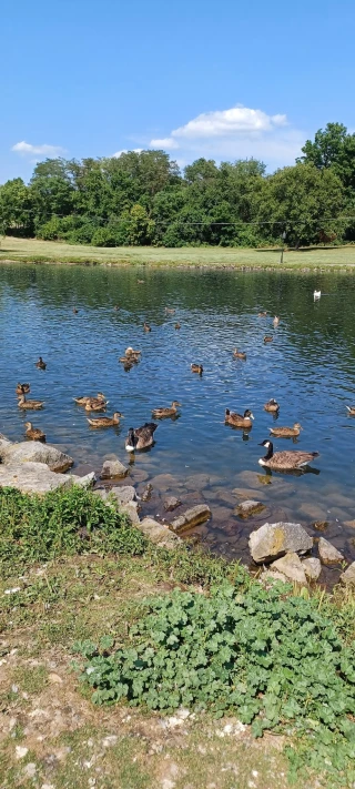 Dykeman Springs