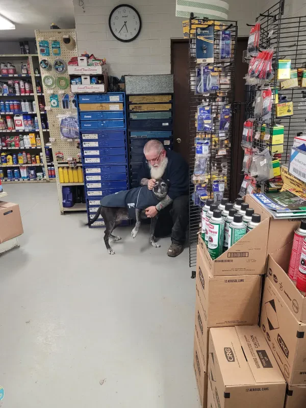 NAPA Auto Parts - M50 TRUCK AND AUTO PARTS LLC - photo 2