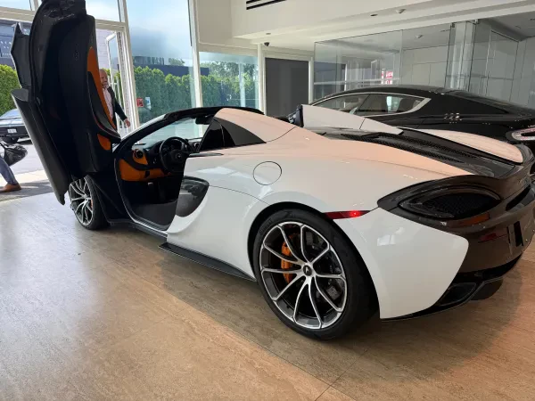 Long Island Sports Cars - photo 2