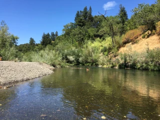 Del Rio Woods Regional Park