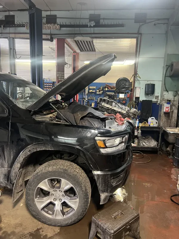 Superior Automotive - photo 2