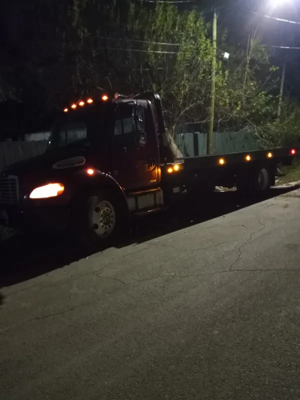 PAL AM TOWING - photo 2