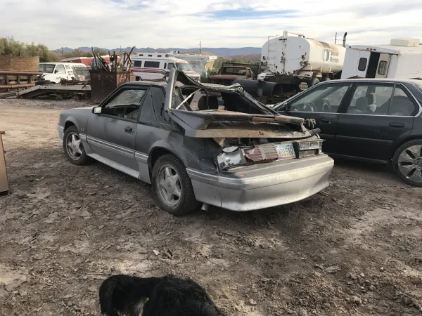 Big D's & Son Towing & Storage - photo 2