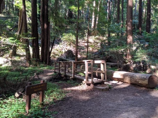 Butano State Park