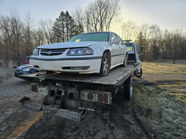 Rusty Relic Auto Salvage - photo 2