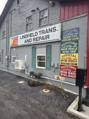 Lindfield transmission & repair