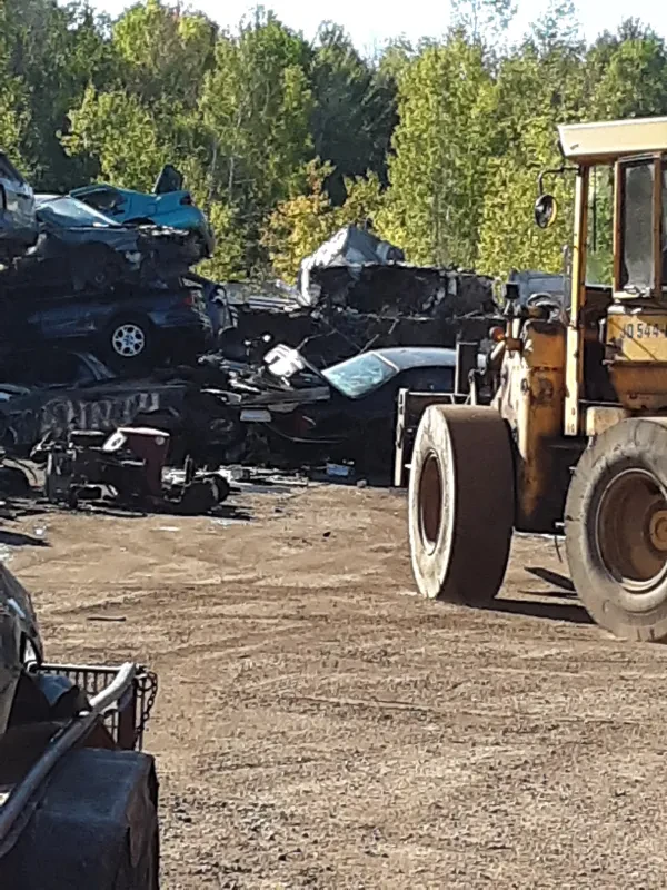 Don's Salvage - photo 4