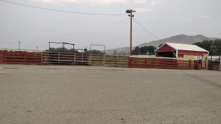 Producers Livestock Marketing