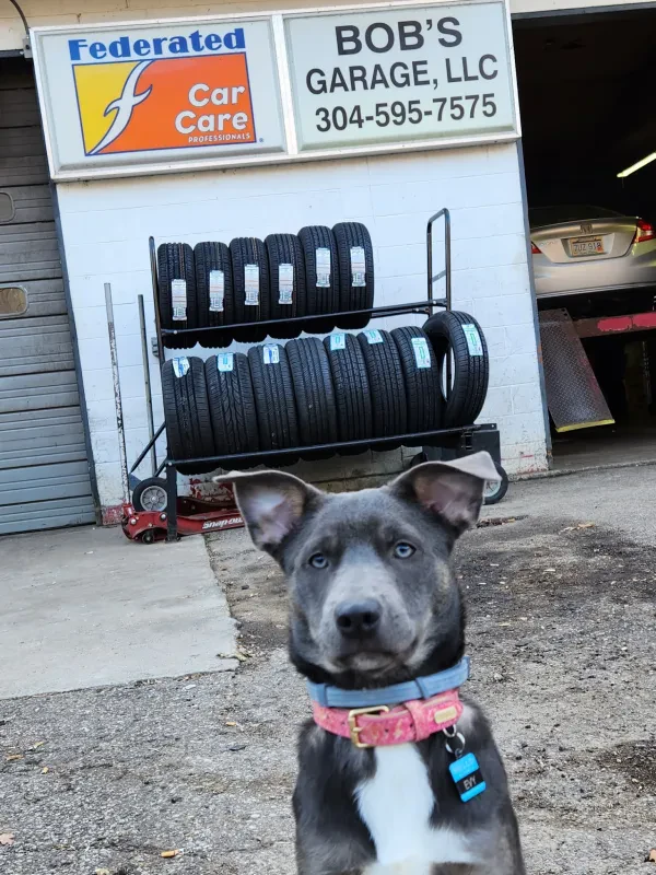 Bob's Garage LLC - photo 3