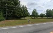 Lem's Towing