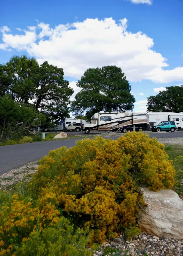 Trailer Village RV Park - photo 3