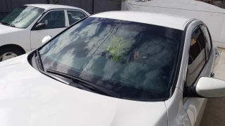 Star Auto Glass