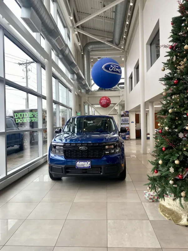 Monaco Ford - photo 3