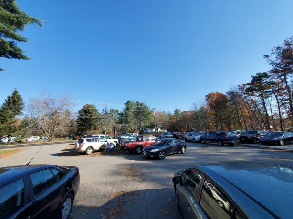 Pine Tree Garage - photo 2
