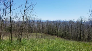 Lost Cove Trail