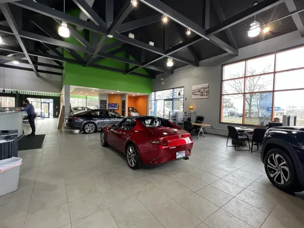 Montrose Auto Outlet - photo 3