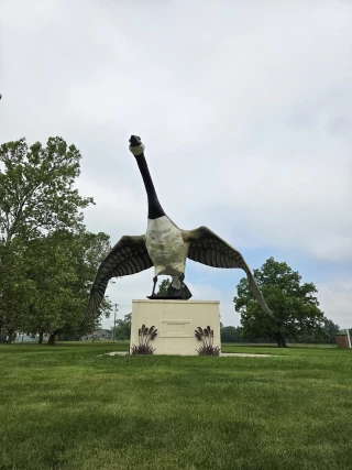 Maxie, the World's Largest Goose