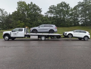 Black Dog Towing and Recovery