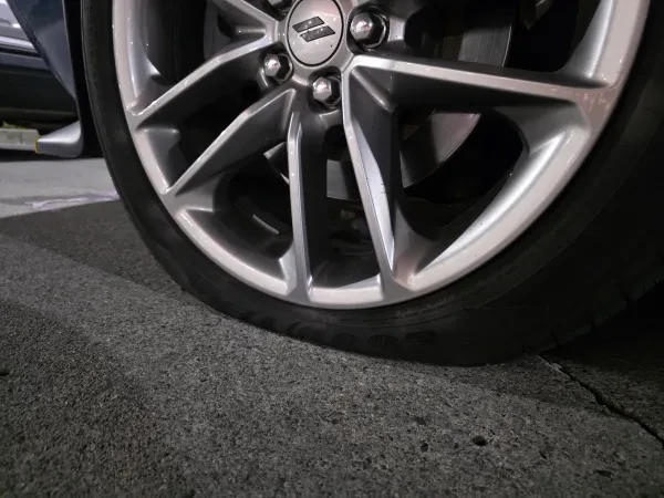 Martin's Auto Parts - photo 3