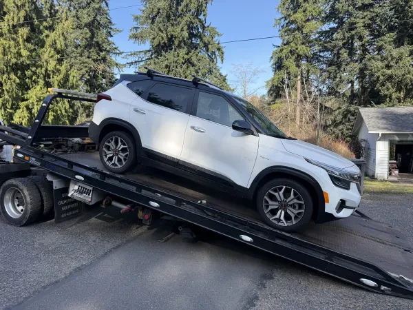 Vornex towing - photo 3