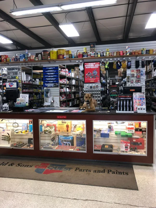 Carquest Auto Parts - GOLD AND SONS AUTOMOTIVE INC. - photo 2