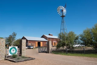 THE COMPOUND