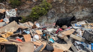 Ketchikan Solid Waste Facility