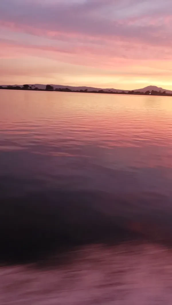 TowBoatUS San Francisco Bay & Delta - photo 2
