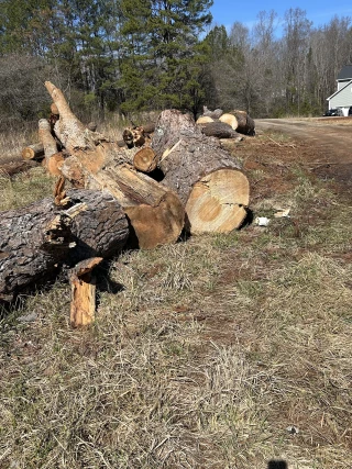 Elkins Sawmill Inc
