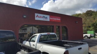 Consumer Auto Parts