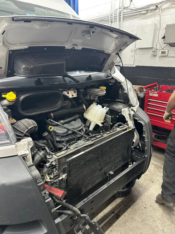 Empire Automotive Group Inc - photo 4