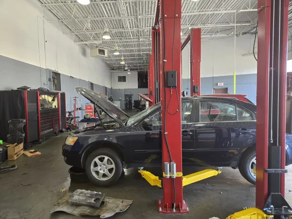 Lakeshore Automotive - Irving - photo 4