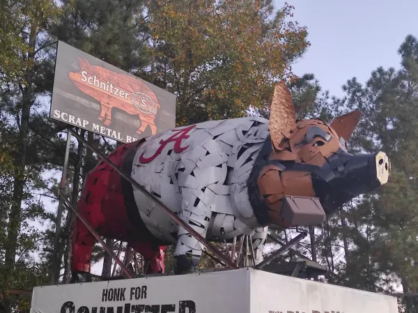 Schnitzer the Pig - photo 4