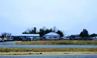 Digges Automotive Inc