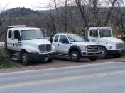 Bee There Towing